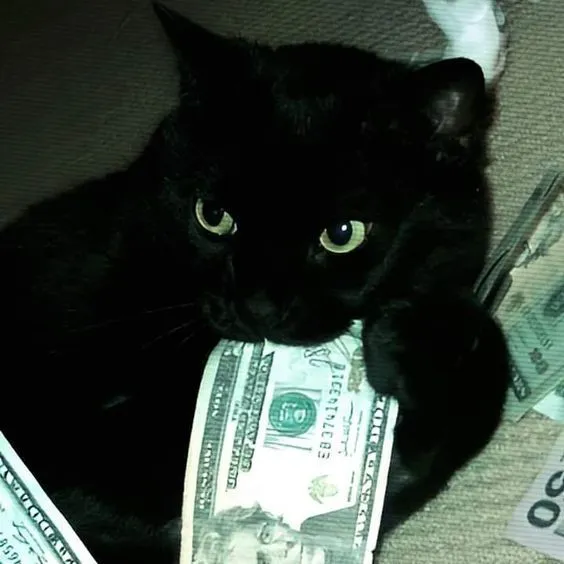Cash