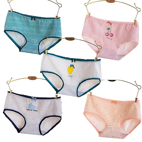 SINGUYUN Japanese Anime Panties for Women Girls Soft Cotton Underwear Print Briefs Cosplay Lingerie Cute 5-Pack - M - 811