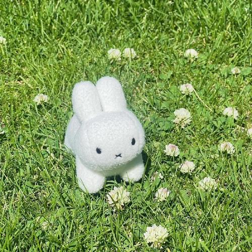 ⋆˚࿔ 100 𝜗𝜚˚⋆