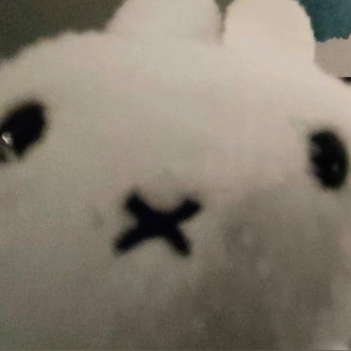 ⋆˚࿔ 2000 𝜗𝜚˚⋆