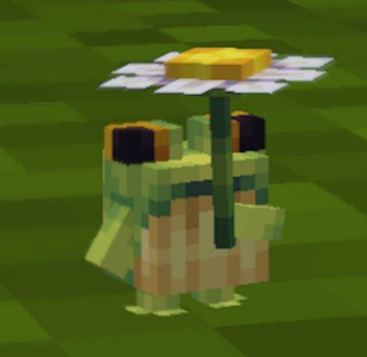 ⋆˚࿔ Minecraft 𝜗𝜚˚⋆