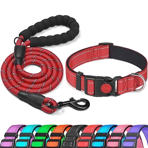 haapaw Reflective Dog Collar Padded with Soft Neoprene Breathable Adjustable Nylon Dog Collars for Small Medium Large Dogs - L ( range: 18.5"-23.5" ) - Red