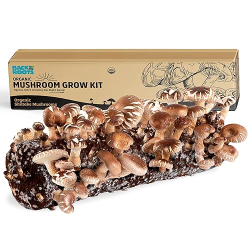 Back to the Roots Organic Shiitake Mushroom Kit; Great Gift; Easy for Beginners, For Indoor Growing (Start Growing Right Away) - Shiitake