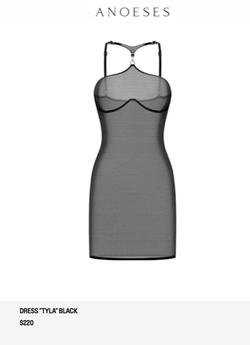 Mesh Dress Anouses