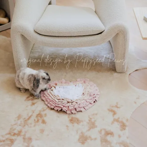 heart forager snuffle mat for my bunny