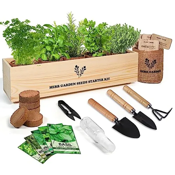 Indoor Herb Grow Kit, 5 Seeds Garden Starter Kit with Complete Planting & Wooden Flower Box, Growing into Basil, Parsley, Rosemary, Thyme, Mint for Kitchen Windowsill DIY
