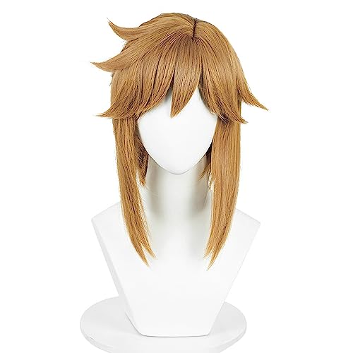 Anime Link Wig Short Brown Curly Tied in Ponytail Party Hair Halloween Cosplay Props Accessory - Brown