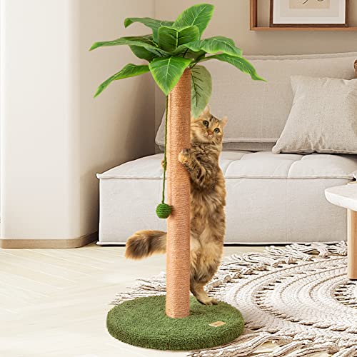 Cat Scratching Post Cat Scratcher 35 inch Tall Scratching Post with Sisal Rope for Indoor Cats Large Cat Scratching Post sisal cat Scratcher Cute for Kitten Scratching Post - 35 inch - Green