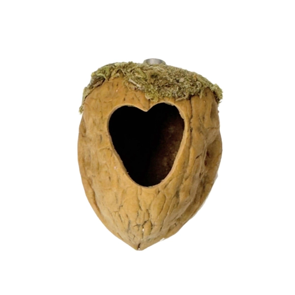 Walnut Hide made with Natural Walnut Shells - Decor - Jumping Spider Setup