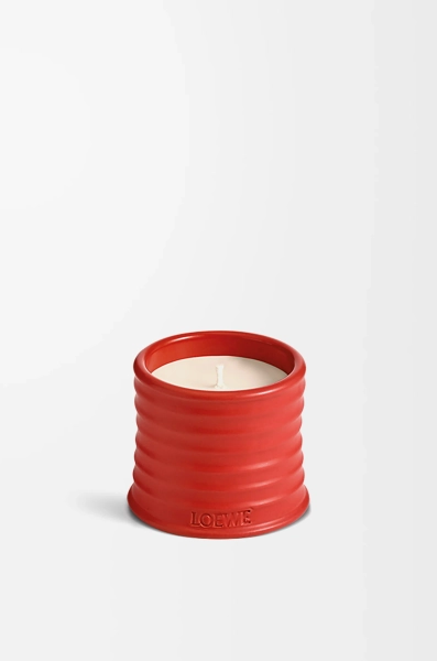 Loewe Small Tomato Leaves VIRAL candle