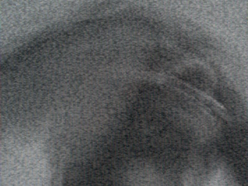 angels -- May Leitz (1st edition signed preorder)