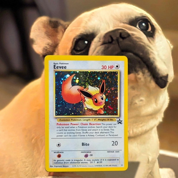 Eevee 11/53 Wotc Promo Holo