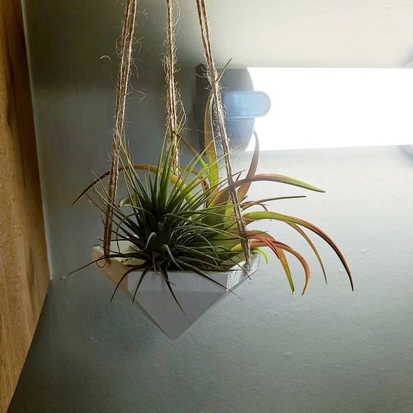 Hanging Planter | Air Plant Hanger | Air Plant Holder | Unique Planters | Macrame | | Succulent Planter | Unique Home Decor