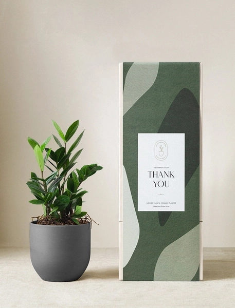 ZZ Plant | Thank You