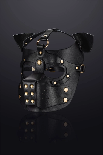 Vortex Leather Bondage Puppy Hood Black
