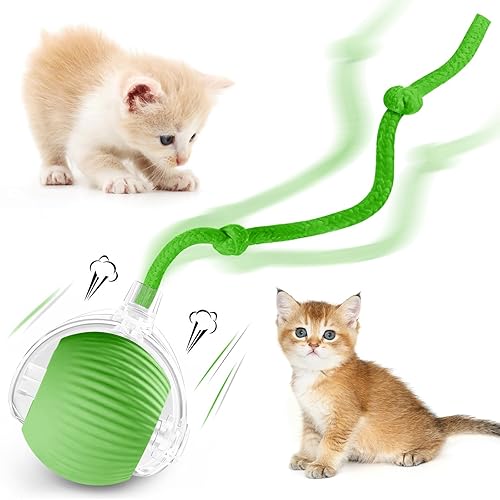 fruitery Interactive Cat Ball Toy, 2025 Upgraded Automatic Cat Toys for Bored Indoor Adult Cats, Smart Moving Cats Toy Balls, 360°Smart Rolling Kitty Ball Toy (Green) - Green
