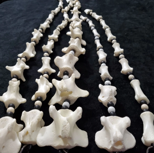 Articulated Bone Tail