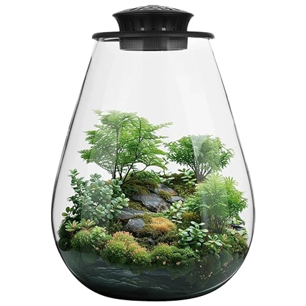 Mini Desktop Glass Plant Terrarium with Grow Light - Planter for Succulent Moss Miniature Gardening Landscape, Betta Fish Tank, Indoor Plant Growth, Office Home Decoration, Plant Lovers Gifts