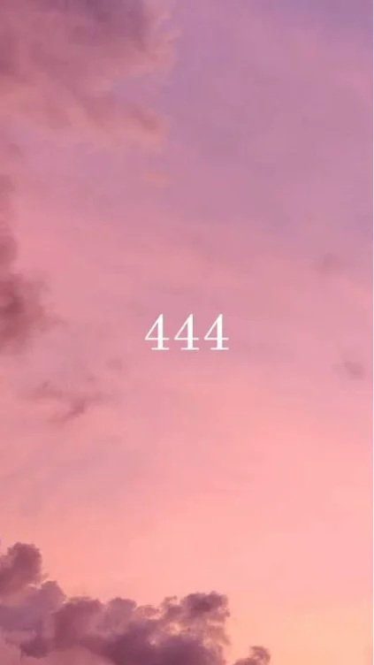 444🪽
