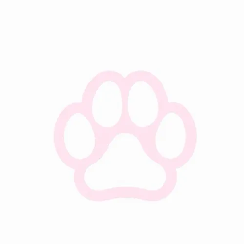 Puppy fund