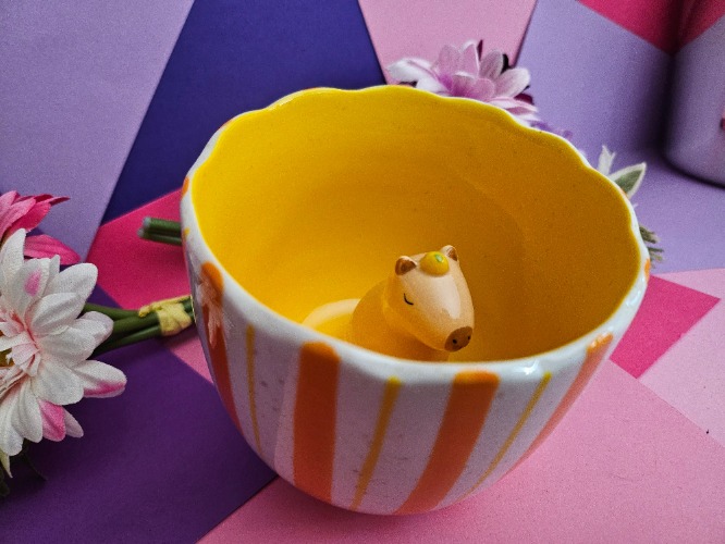 Secret Capybara Mug
