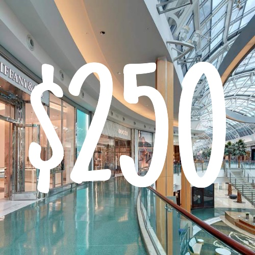 $250 shopping trip
