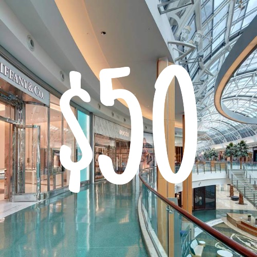 $50 for shopping 
