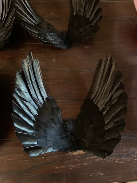 Designer Made Floating Wings in Black | Small / Classic