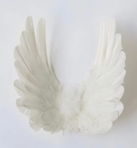 Designer Made Floating Wings in Dove | Small / Classic