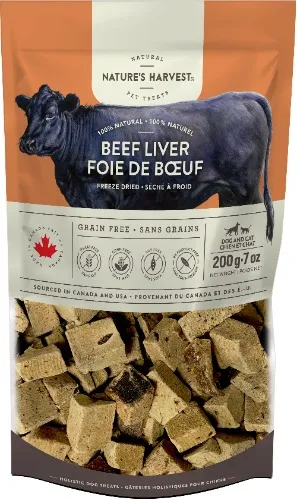 Potato needs toys and treats