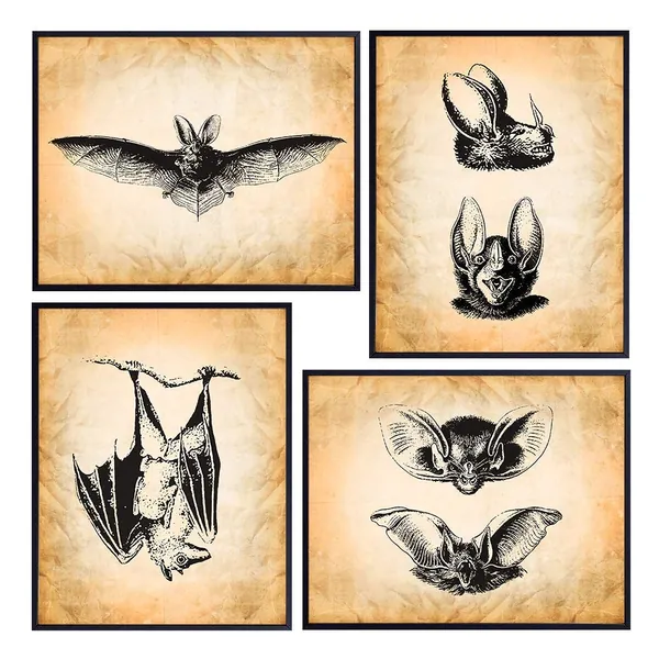 Bats Wall Art Decor Set - 8x10 Rustic Antique Style Home Decoration Picture Posters for Apartment, Office, Living Room, Bathroom, Bedroom - Cool Unique Vintage Gift for Men, Steampunk, Goth Fans