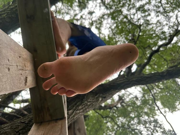 Stepladder 🦶🏻($50)