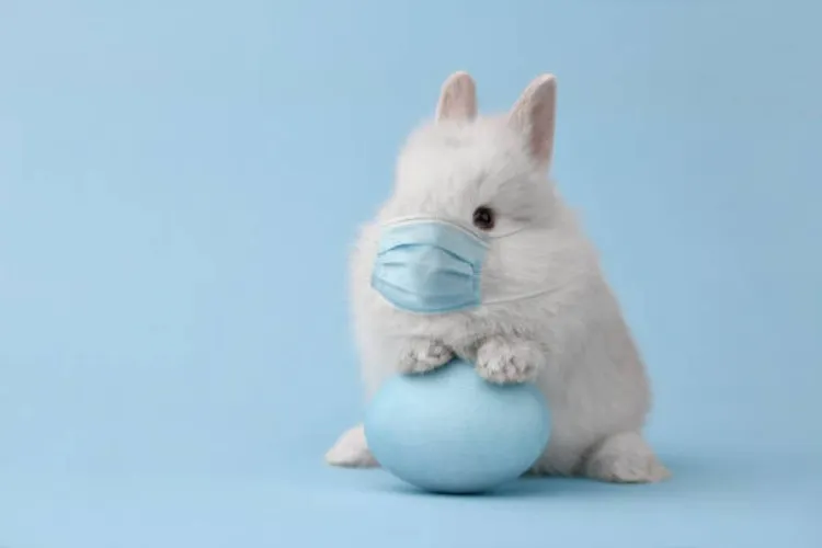 take a sick day, bun!