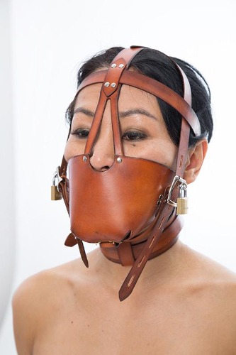 Fancy Leather Muzzle Head Harness | Default Title