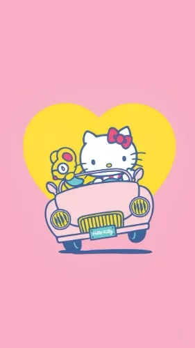 Car insurance 🚗