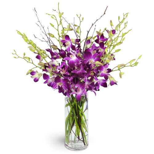 You're My Everything Orchids Bouquet - Deluxe