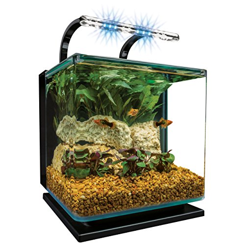 MarineLand Contour Glass Aquarium Kit with Rail Light - 3-gallon