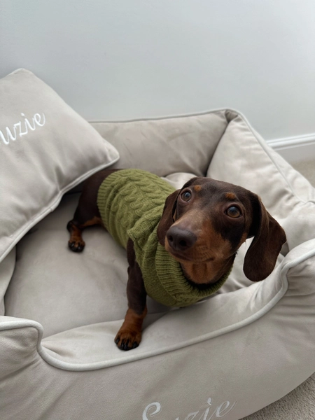 Khaki Knitted Dog Jumper Knitted Dog Sweater