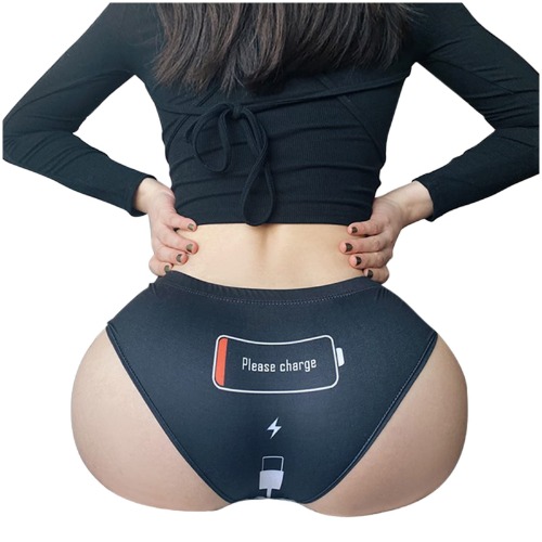 Womens Panties, Funny 'Please Charge' Print Sexy Panties for Women, Seamless Breathable Briefs Underwear - Large Black