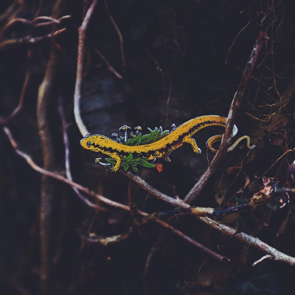 Salamander Lapel Pin / Artist Series Pin by Logan Schmitt / Lizard Mushroom Botanical Mycology agaric Amanita muscari Gift