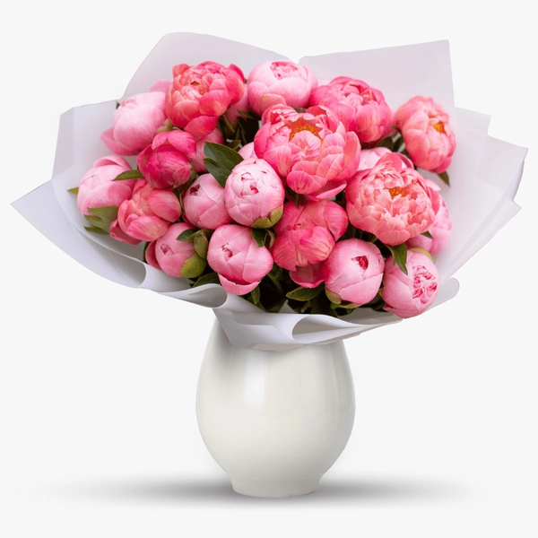 Buchet de 25 bujori coral