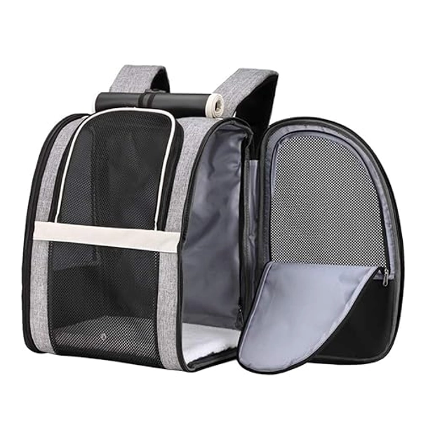 Texsens Pet Carrier Backpack with Window Blind for Small Cats Dogs, Ventilated Design, Safety Straps, Buckle Support, Collapsible, Designed for Travel, Hiking, Winter Outing, Outdoor, Go to Vet