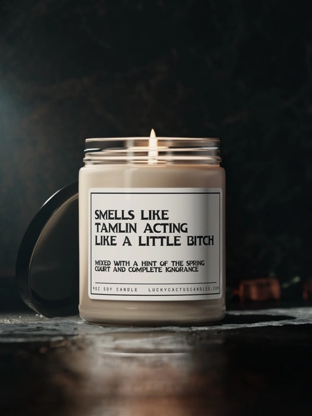 Tamlin&#39;s a Bitch Candle, Acotar fan gift, acomaf, A court of thorns and roses merch, Velaris Candle, Book Lover Candle, Literary Book Candle