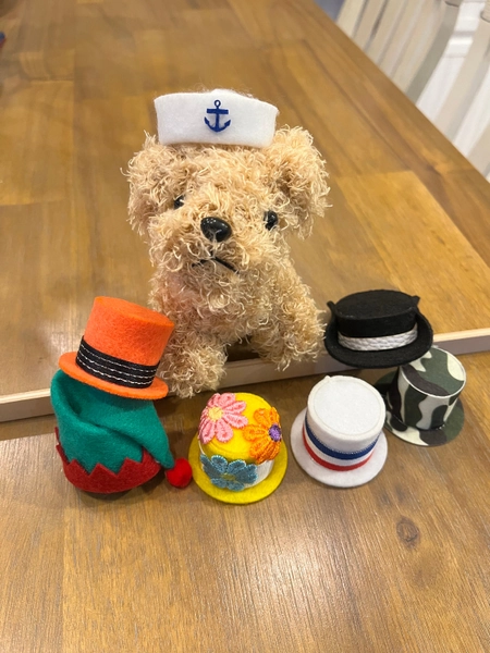 Stuffed dog with mini  hats