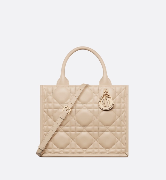 Small Dior Book Tote