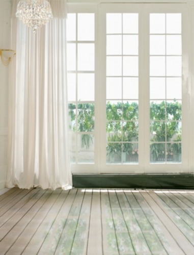 Background Backdrops