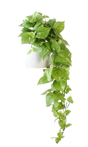 Retrograde 32" Realistic Fake Pothos Ivy Plant for Home Decor Indoor Silk Artificial Plant Large (Light Green) - Light Green