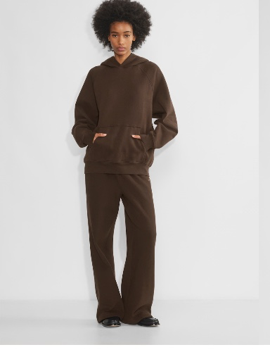 Cozy hoodie Aritzia Raglan :)