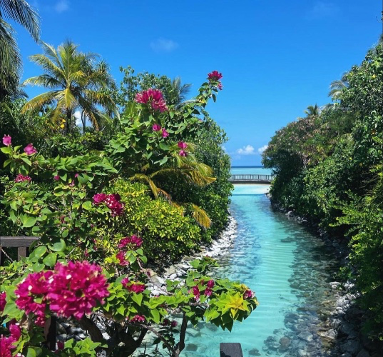Maldives trip 🇲🇻 