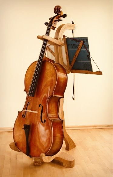 Violoncello 